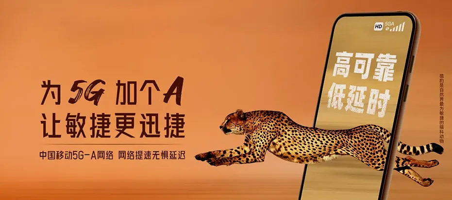 麦积区麦积区东岔镇 移动宽带